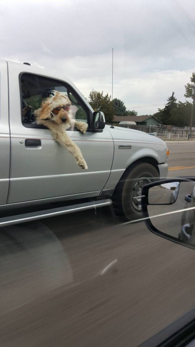 Acid Picdump. Part 2 (94 pics)