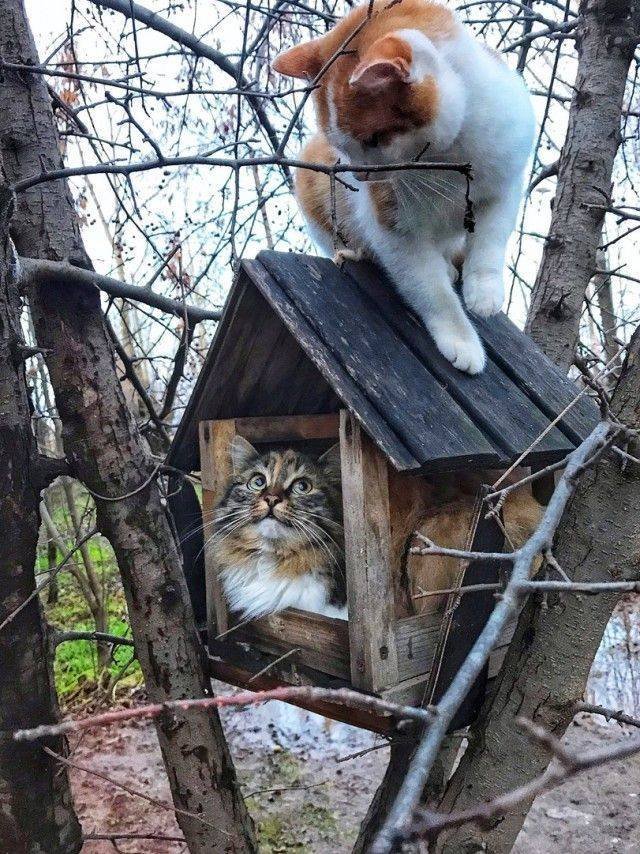 Acid Picdump. Part 1 (95 pics)