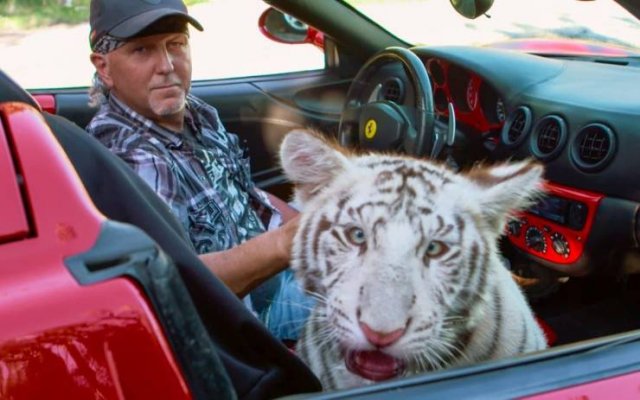 Acid Picdump. Part 2 (94 pics)