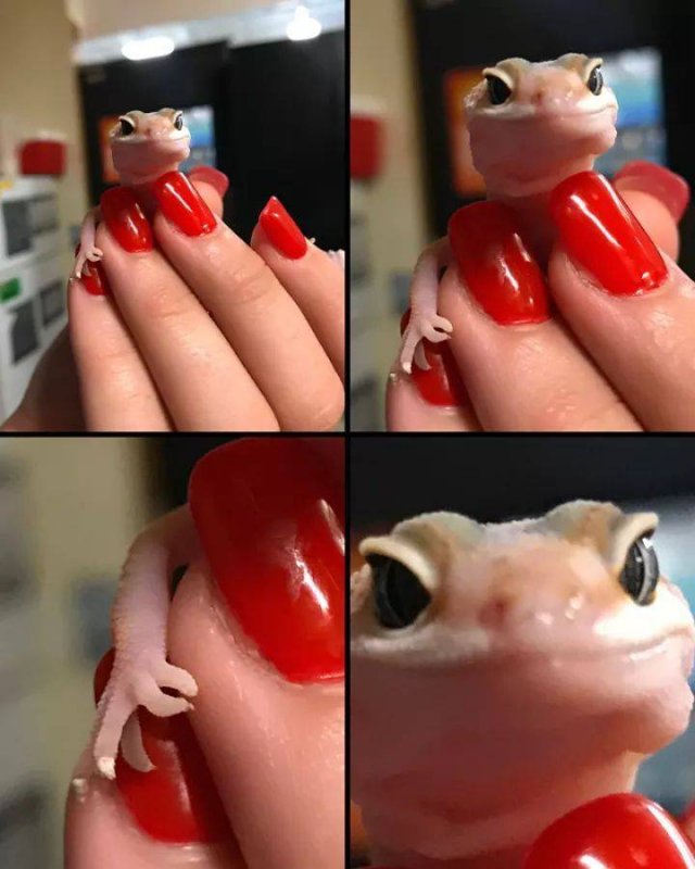 Acid Picdump. Part 2 (94 pics)