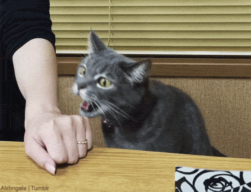 Acid Gifdump, August 26 (25 gifs)