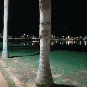 Acid Gifdump, August 26 (25 gifs)