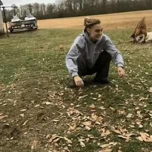 Acid Gifdump, August 26 (25 gifs)