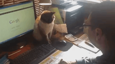 Acid Gifdump, August 26 (25 gifs)