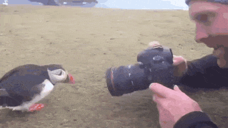 Acid Gifdump, August 26 (25 gifs)