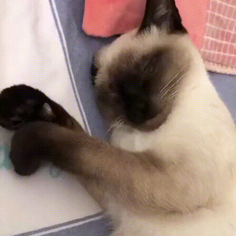 Acid Gifdump, August 26 (25 gifs)