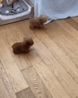 Acid Gifdump, August 26 (25 gifs)