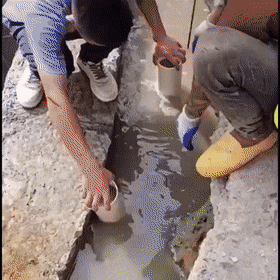 Acid Gifdump, August 26 (25 gifs)