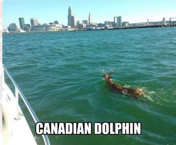 Only In Canada (20 pics)