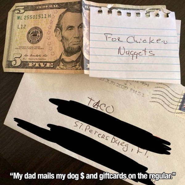 Life Is Beautiful (37 pics)