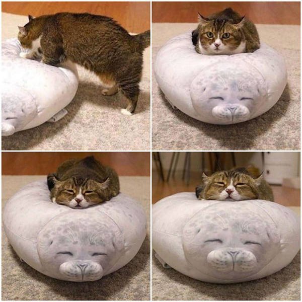 Life Is Beautiful (37 pics)