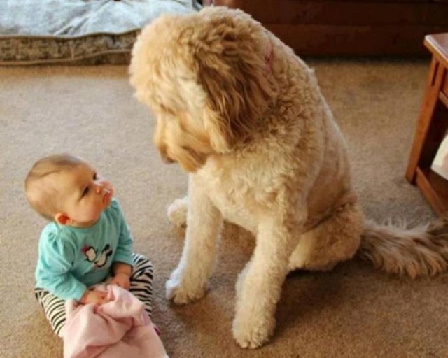 Acid Picdump. Part 2 (94 pics)