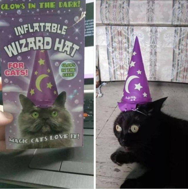 Acid Picdump. Part 2 (94 pics)