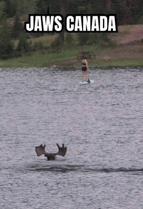Acid Picdump. Part 2 (94 pics)