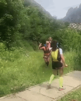 Acid Gifdump, August 27 (25 gifs)