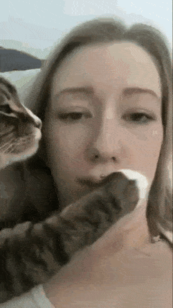 Acid Gifdump, August 27 (25 gifs)