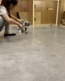 Acid Gifdump, August 27 (25 gifs)