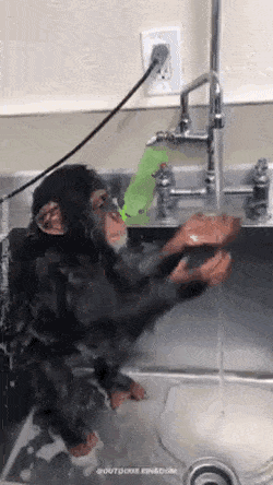 Acid Gifdump, August 27 (25 gifs)