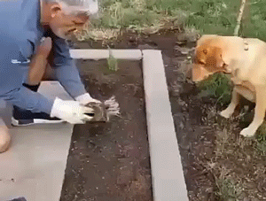Acid Gifdump, August 28 (25 gifs)