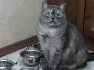 Acid Gifdump, August 28 (25 gifs)
