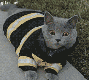 Acid Gifdump, August 28 (25 gifs)