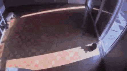 Acid Gifdump, August 28 (25 gifs)