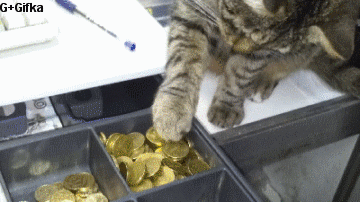 Acid Gifdump, August 28 (25 gifs)