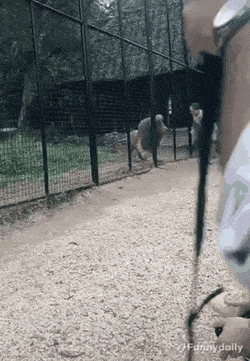 Acid Gifdump, August 28 (25 gifs)