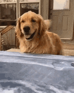 Acid Gifdump, August 28 (25 gifs)