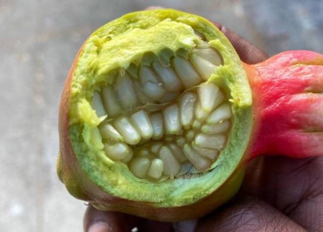 Look Twice (20 pics)