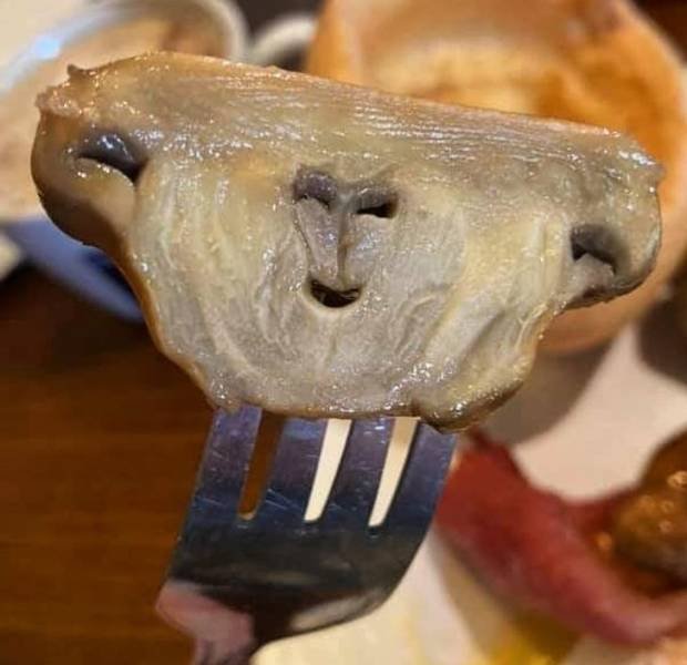 Look Twice (20 pics)