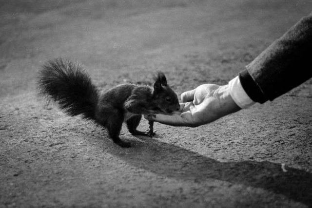 A Guy Revealed Photo Collection From His Photographer Grandfather (28 pics)