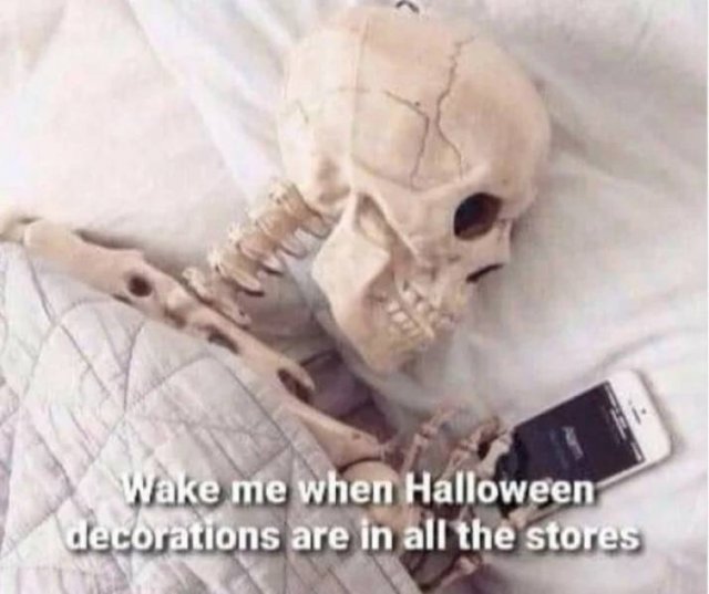 Halloween Memes (28 pics)