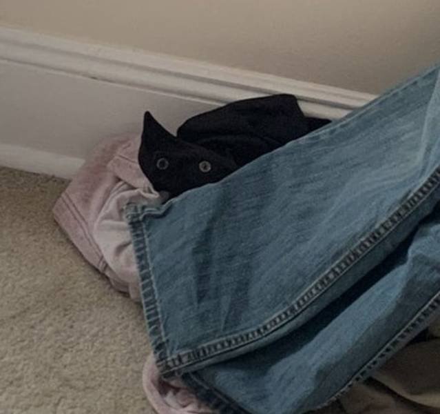 Look Twice (20 pics)
