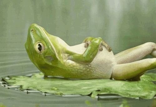 Things You May Learn During Travelling (15 pics)