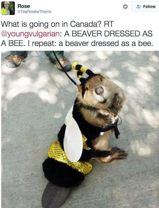 Acid Picdump. Part 2 (93 pics)