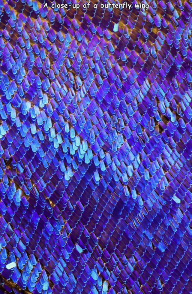 Acid Picdump. Part 2 (93 pics)
