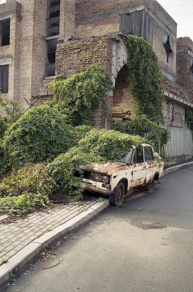Acid Picdump. Part 2 (93 pics)