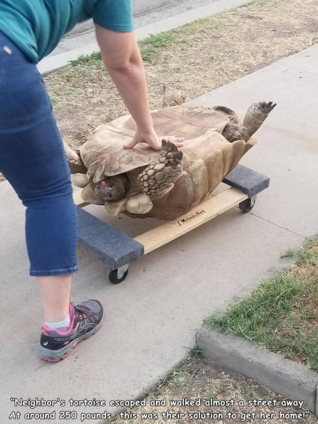 Acid Picdump. Part 2 (93 pics)