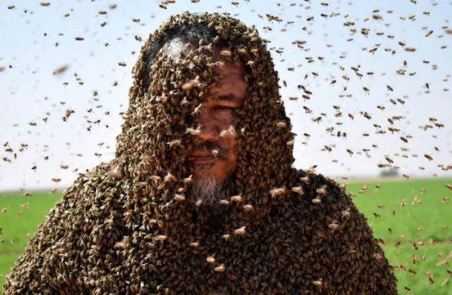 Acid Picdump. Part 2 (93 pics)