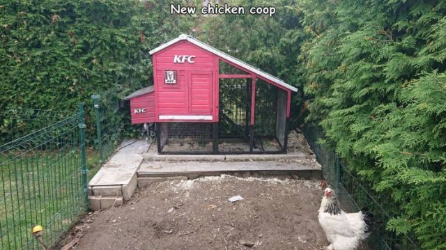 Acid Picdump. Part 2 (93 pics)