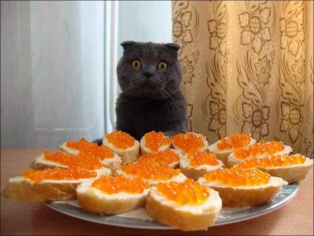 Acid Picdump. Part 2 (96 pics)