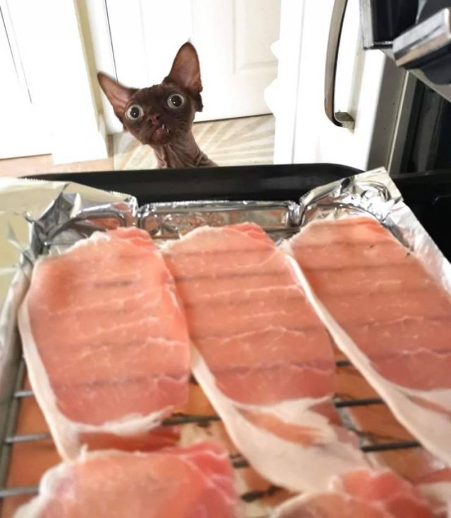 Acid Picdump. Part 2 (96 pics)