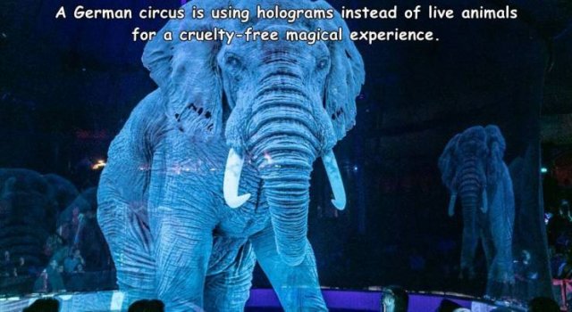 Acid Picdump. Part 2 (96 pics)