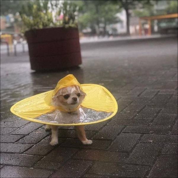 Acid Picdump. Part 2 (96 pics)