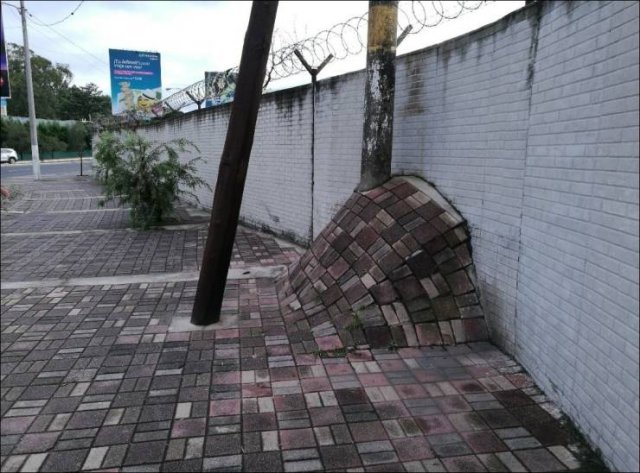 Acid Picdump. Part 2 (96 pics)