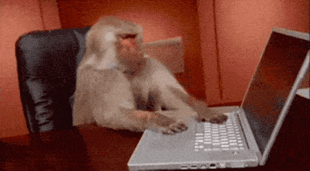 You May Study On These Free Online Courses (12 gifs)