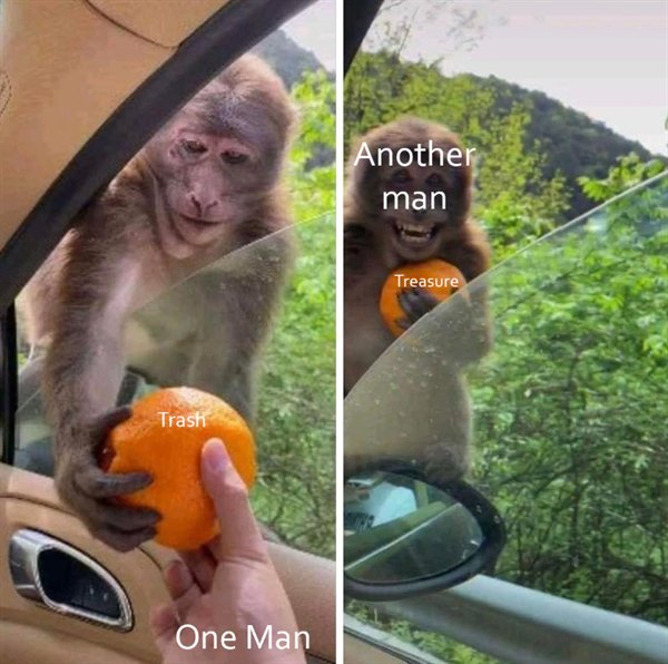 Hilarious Memes (24 pics)