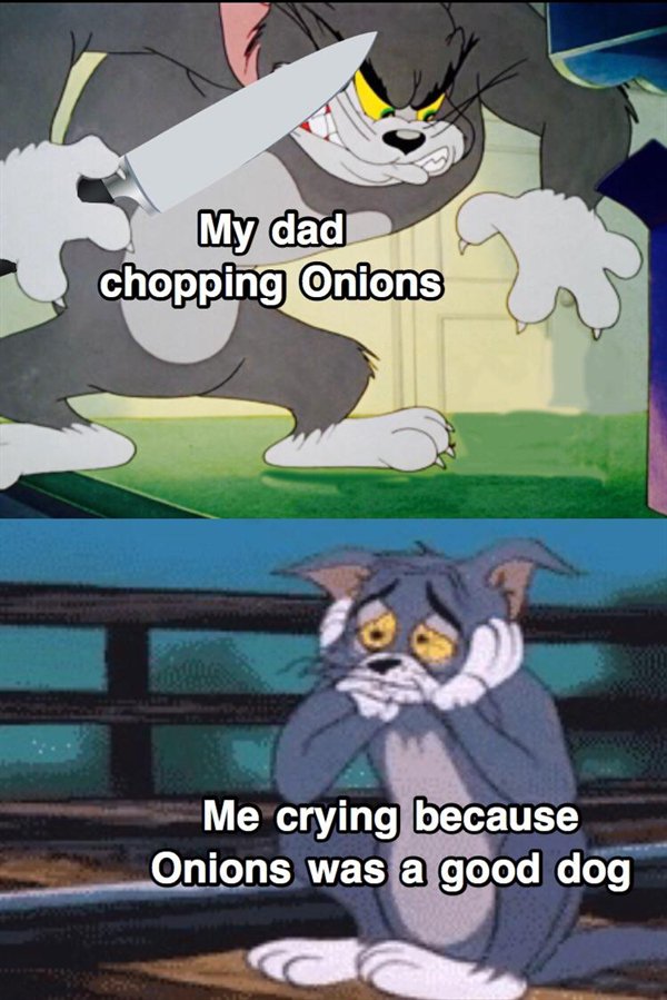 Hilarious Memes (24 pics)