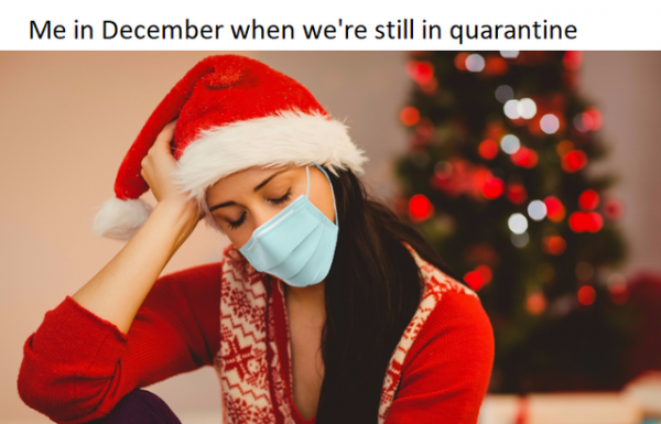 Quarantine Memes (34 pics)